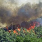 Συναγερμός στην Πυροσβεστική για δασική πυρκαγιά στην Φθιώτιδα