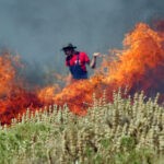 Κρήτη-Πυρκαγιά απο ελεγχόμενη καύση που ξεφυγε σε χορτολιβαδική έκταση