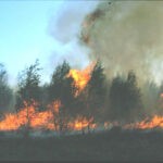 Πυροσβεστική: 28 δασικές πυρκαγιές το τελευταίο 24ωρο (16/11/2021)