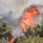 Πυροσβεστική: 36 δασικές πυρκαγιές το τελευταίο 24ωρο