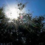 Καιρός meteo: Υψηλές θερμοκρασίες την Πέμπτη