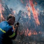 Πυροσβεστική: 13 δασικές πυρκαγιές το τελευταίο 24ωρο (02/12/2021)