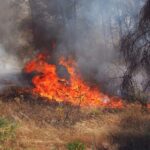 Πυροσβεστική: 8 δασικές πυρκαγιές το τελευταίο 24ωρο (22/12/2021)