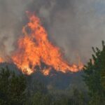 Πυρκαγιά σε δασική έκταση στις Μιανές Λακωνίας