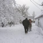 Καιρός: Έρχεται νέο κύμα ψύχους – Πότε θα χτυπήσει, τι λένε Αρναούτογλου, Μαρουσάκης