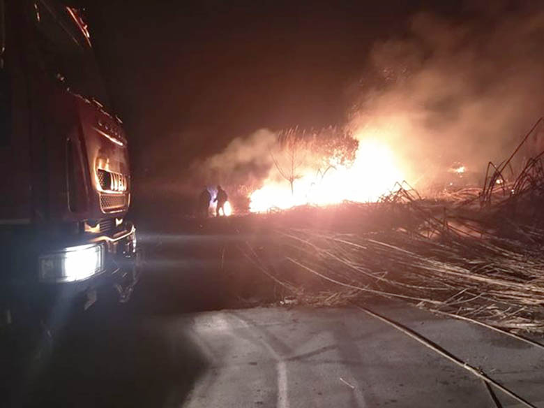 Πυροσβεστική: 28 δασικές πυρκαγιές το τελευταίο 24ωρο (30/01/22)