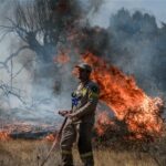 Πυροσβεστική: 16 δασικές πυρκαγιές το τελευταίο 24ωρο (15/01/22)