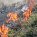 Πυροσβεστική: 14 δασικές πυρκαγιές το τελευταίο 24ωρο (05/01/2022)