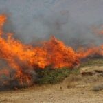 Φωτιά σε χορτολιβαδική έκταση στην περιοχή Ρούβα Ηρακλείου