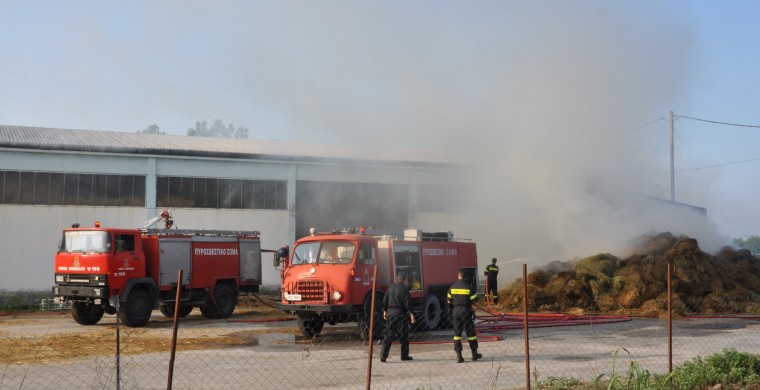 Πυρκαγιά σε εργοστάσιο ξυλείας στα Τρίκαλα