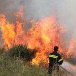 Συνελήφθη ηλικιωμένη για τη φωτιά στο Γούμερο Ηλείας