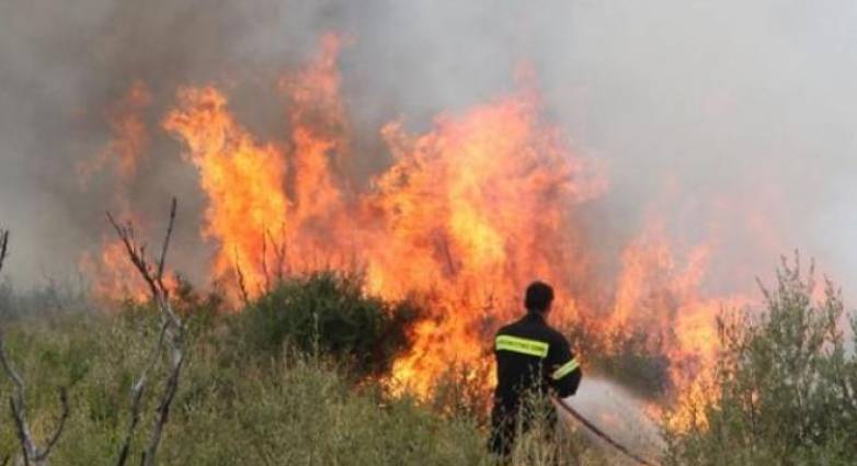 Συνελήφθη ηλικιωμένη για τη φωτιά στο Γούμερο Ηλείας