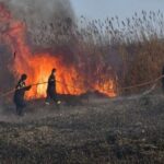 Πυροσβεστική: 3 δασικές πυρκαγιές το τελευταίο 24ωρο (02/02/22)