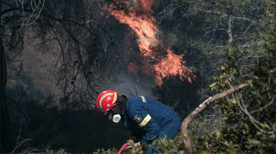 Πρόσληψη 500 δασοκομάντος για τη σύσταση Ειδικών Μονάδων Δασικών Επιχειρήσεων