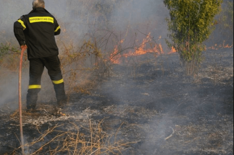 Νεμέα: Οδηγίες για πρόληψη και αποφυγή πυρκαγιών από την καύση κλαδεμάτων