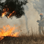 Πυροσβεστική: 48 δασικές πυρκαγιές το τελευταίο 24ωρο (21/02/22)