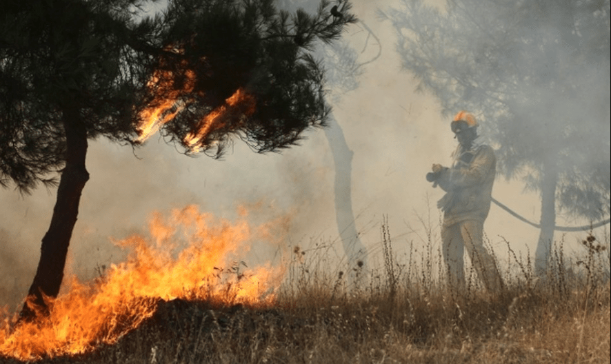 Πυροσβεστική: 48 δασικές πυρκαγιές το τελευταίο 24ωρο (21/02/22)