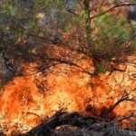 Σύλληψη για εμπρησμό από αμέλεια στην Ιεράπετρα Κρήτης