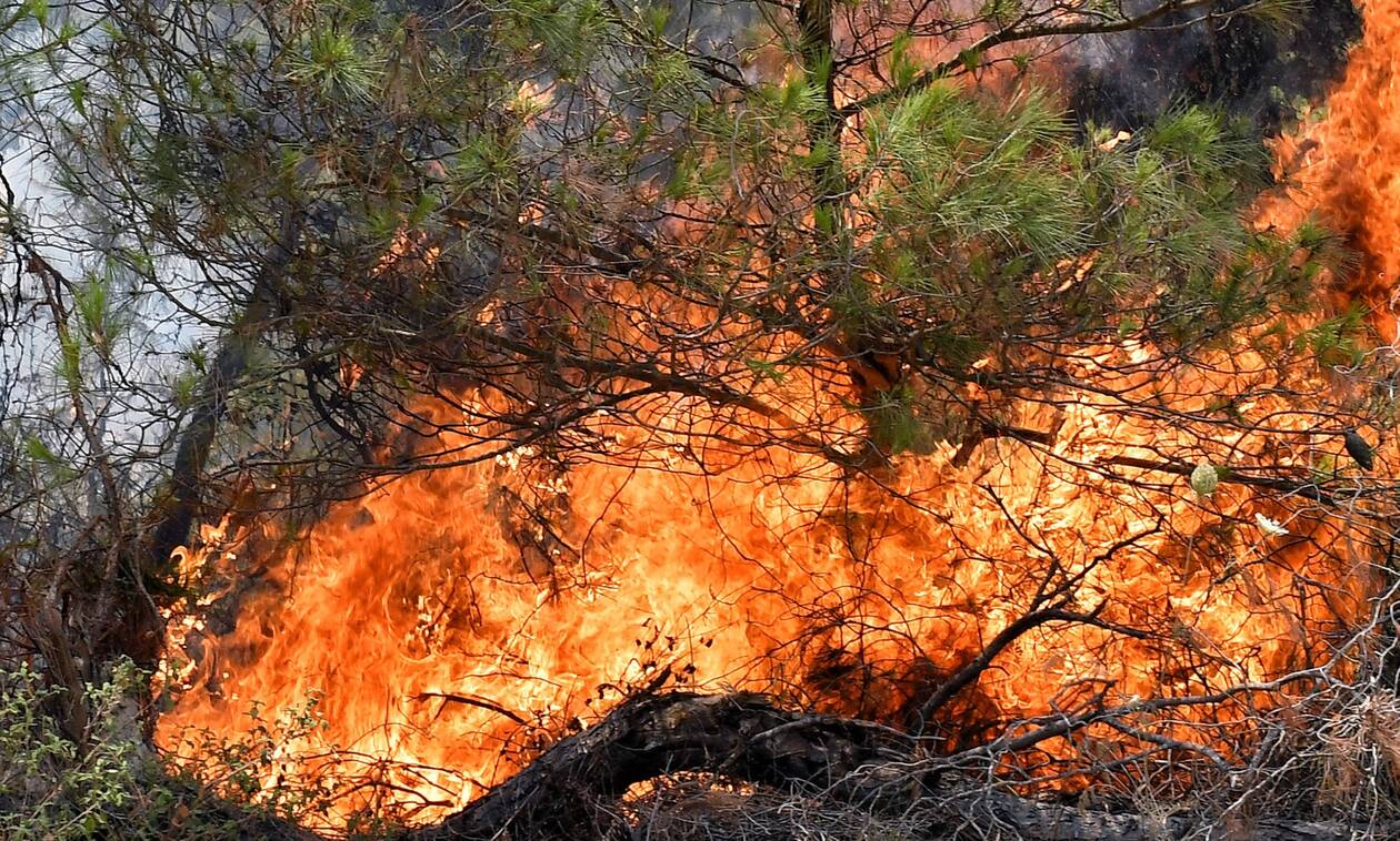 Σύλληψη για εμπρησμό από αμέλεια στην Ιεράπετρα Κρήτης