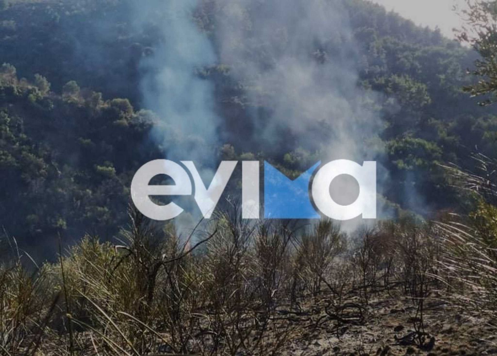 Πυρκαγιά σε δασική έκταση στο Μίστρο Εύβοιας