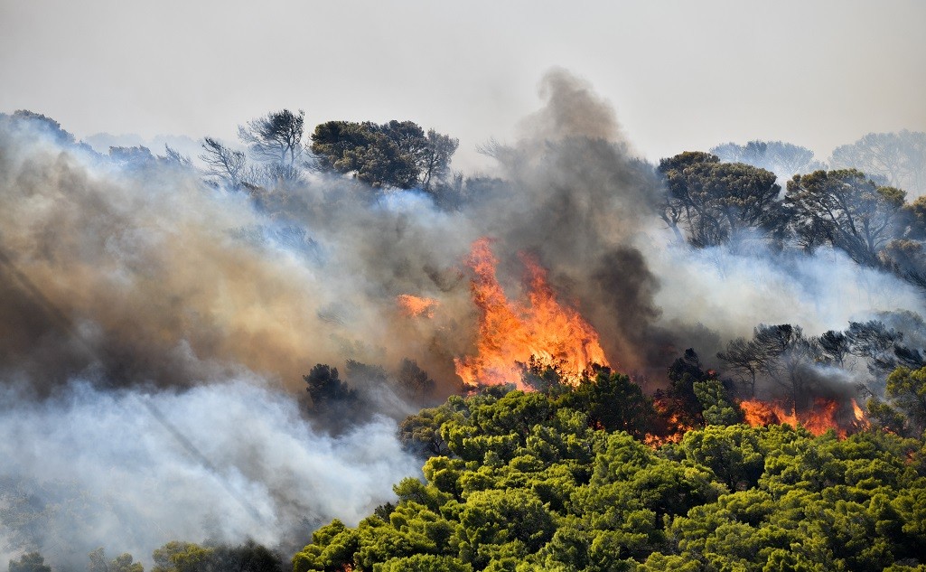 Πυρκαγιά σε αγροτοδασική έκταση στα Διάσελλα Ηλείας - Μεγάλη κινητοποίηση της Πυροσβεστικής