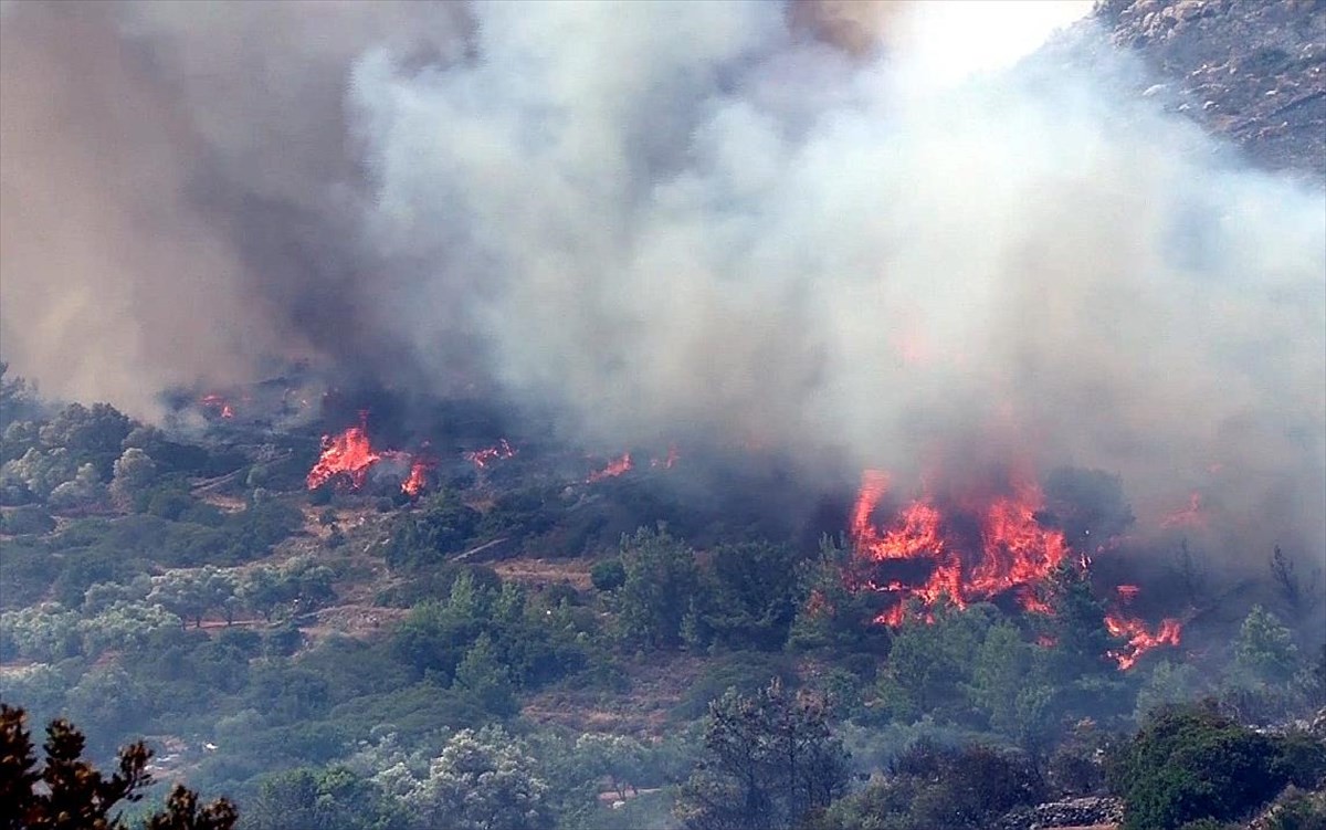 Πυρκαγιά σε αγροτοδασική έκταση στο Ανεμοχώρι Ηλείας - Συναγερμός στην Πυροσβεστική