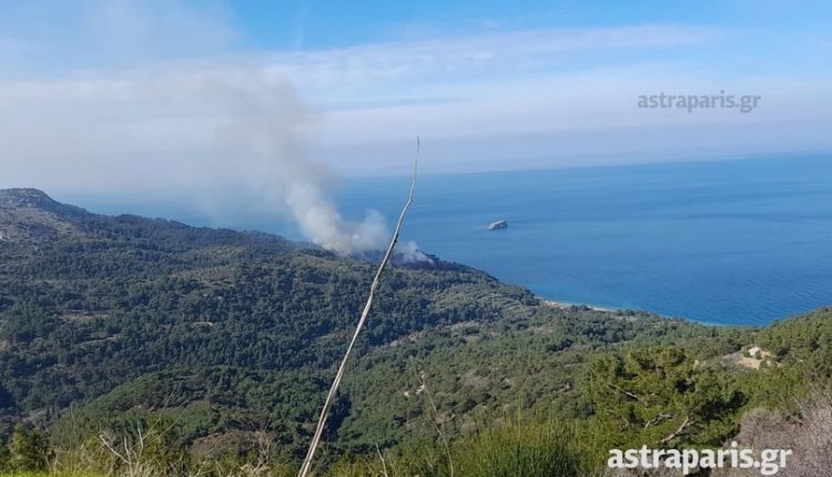 Πυρκαγιά σε δασική έκταση στην περιοχή των Αμάδων Χίου