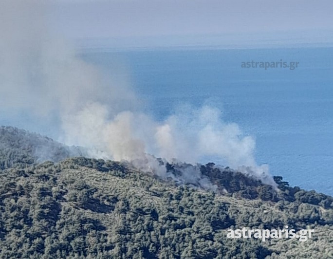 Πυρκαγιά σε δασική έκταση στην περιοχή των Αμάδων Χίου