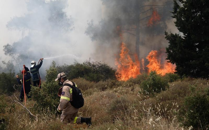 Πυροσβεστική: 32 δασικές πυρκαγιές το τελευταίο 24ωρο (20/02/22)