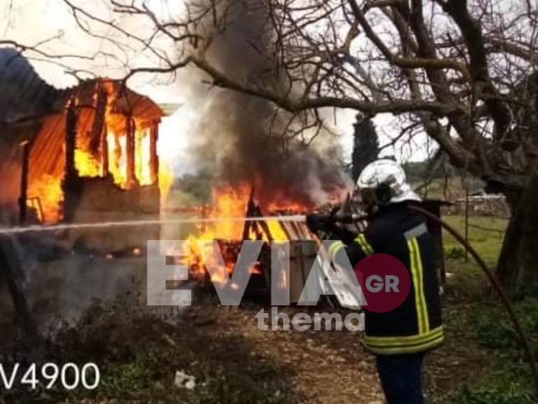 Πυρκαγιά σε αποθήκη με ξυλεία και εργαλεία στον Πάλιουρα Ευβοίας