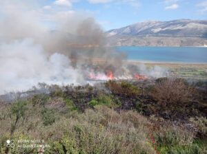 Πυρκαγιά σε δασική έκταση στην Κεφαλονιά