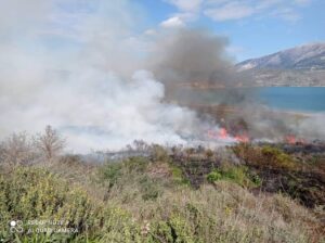 Πυρκαγιά σε δασική έκταση στην Κεφαλονιά