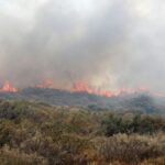 Πυρκαγιά σε αγροτοδασική έκταση στην περιοχή της Πέρσαινας Ηλείας