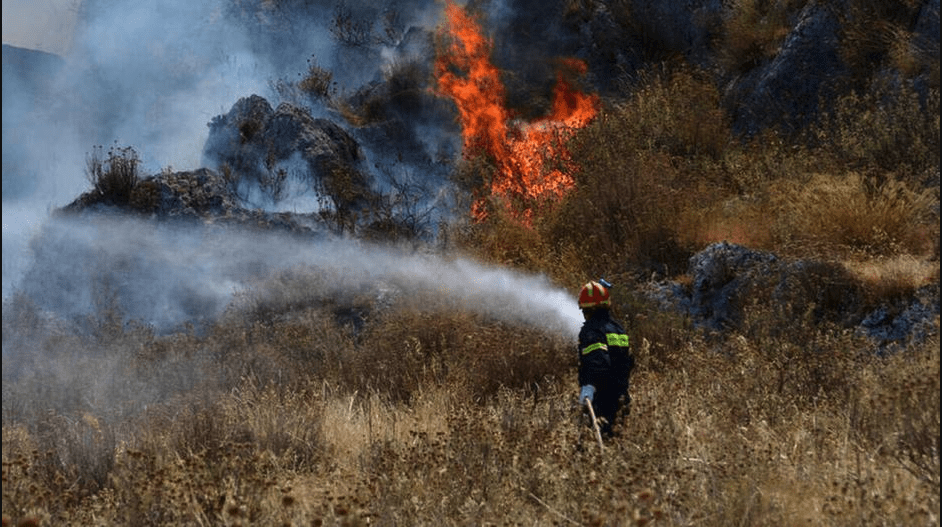 Πυροσβεστική: 3 δασικές πυρκαγιές το τελευταίο 24ωρο (01/03/22)