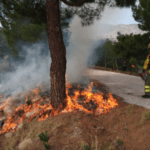 Προδιαγεγραμμένη καύση: Πιλοτική εφαρμογή για την πρόληψη των δασικών πυρκαγιών