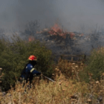 Συνελήφθη άνδρας για την πυρκαγιά στη Χρυσοκελλαριά Μεσσηνίας