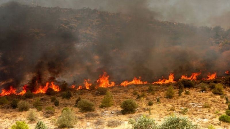 Πυροσβεστική: 22 δασικές πυρκαγιές το τελευταίο 24ωρο (12/03/22)