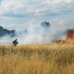 Πυροσβεστική: 7 δασικές πυρκαγιές το τελευταίο 24ωρο (09/03/22)