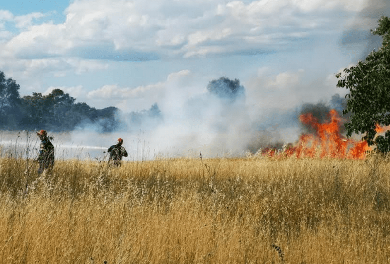 Πυροσβεστική: 7 δασικές πυρκαγιές το τελευταίο 24ωρο (09/03/22)