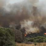 Πυρκαγιά σε αγροτοδασική έκταση στο Καγκάδι Αχαΐας