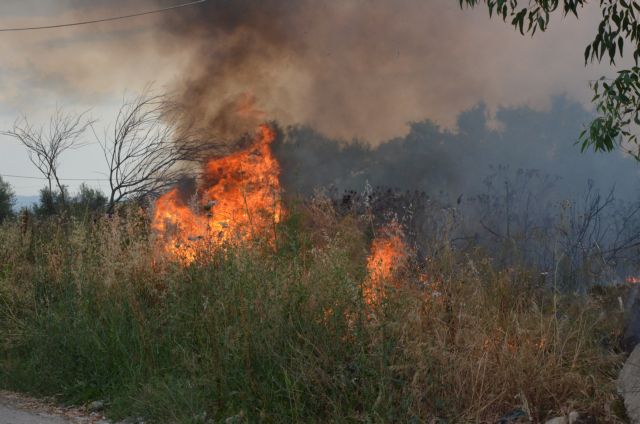 Πυρκαγιά σε χαμηλή βλάστηση στο Κάλαμο Αττικής