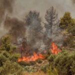 Μεγάλη πυρκαγιά σε αγροτοδασική έκταση στο Μελιγαλά Μεσσηνίας