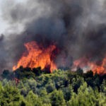 Π.Σ.-203 Δασικές πυρκαγιές το τελευταίο 48ωρο