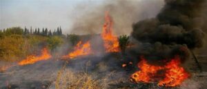 Πυρκαγιά εν υπαίθρω στον Παπάγου Αττικής