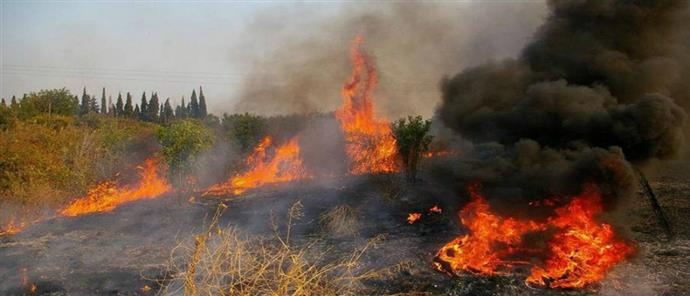 Πυρκαγιά εν υπαίθρω στον Παπάγου Αττικής