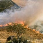 Πυροσβεστική: 5 δασικές πυρκαγιές το τελευταίο 24ωρο (08/03/22)