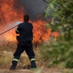 Πυρκαγιά σε δασική έκταση Ματέσι Ηλείας