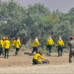 Είναι απαραίτητες οι Ειδικές Μονάδες Δασικών Επιχειρήσεων της Πυροσβεστικής Υπηρεσίας;