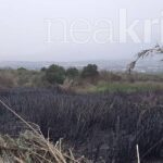 Η πυρκαγιά στην Πόμπια Κρήτης έκαψε 6 στρέμματα (Φωτό)