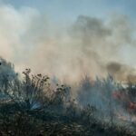 Πυρκαγιά σε δασική έκταση στην Αργυρά Αχαΐας